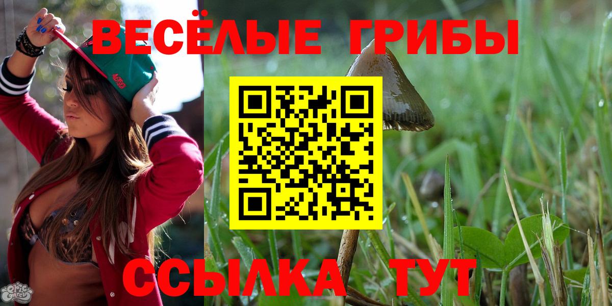 Псилоцибиновые грибы Psilocybine cubensis Ртищево